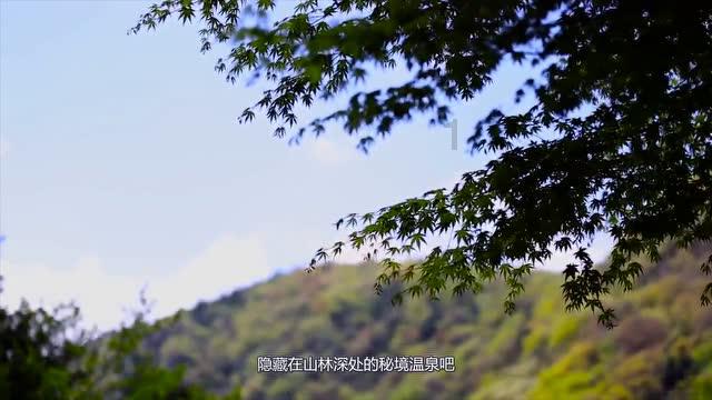 科创板迎来首单“A控A”，政策暖风下并购重组升温